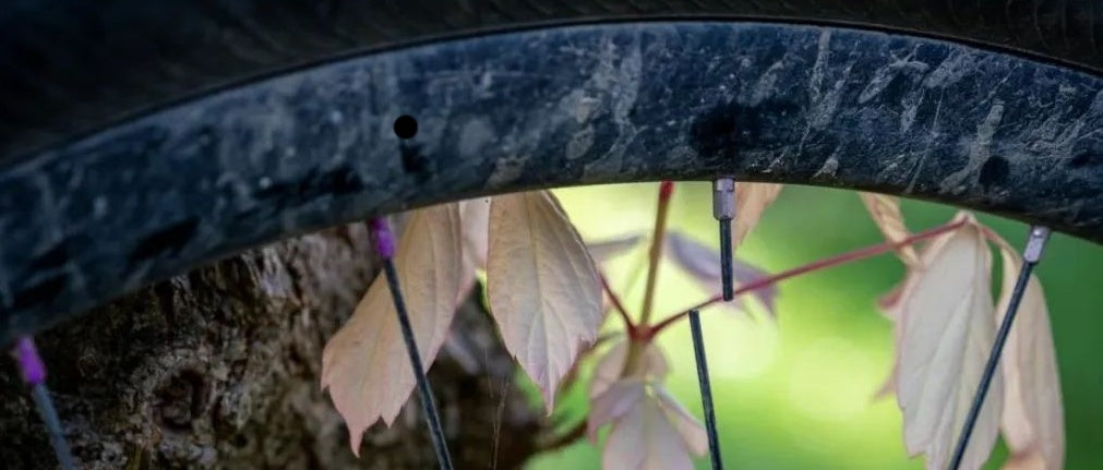 What should you do once the spokes break during cycling?